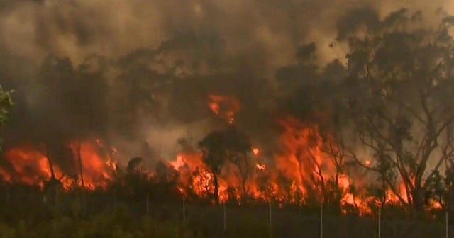 Rain and cooler temperatures bring some relief from Australia fires ...