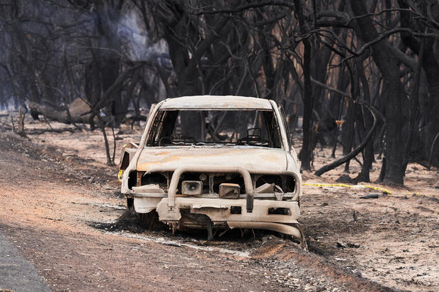 Bushfire Aftermath On Kangaroo Island 