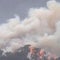 Rain brings some relief in Australia as fires take toll