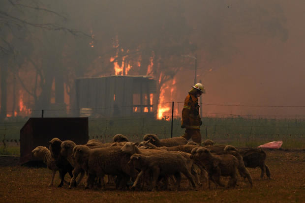 RFS crews engage in property protection of a number of homes along the Old Hume Highway as the Green Wattle Creek Fire threatens a number of communities in the southwest of Sydney 