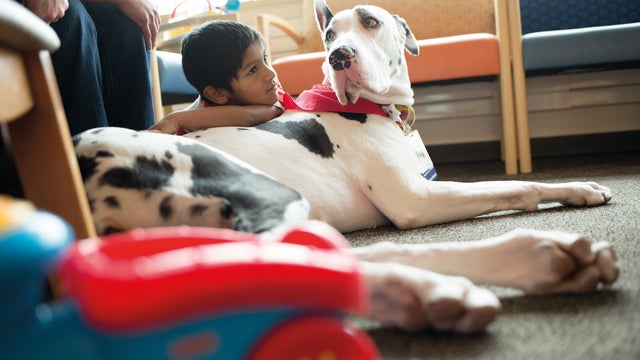 Childrens-Minnesota-Pet-Therapy-Program.jpg 