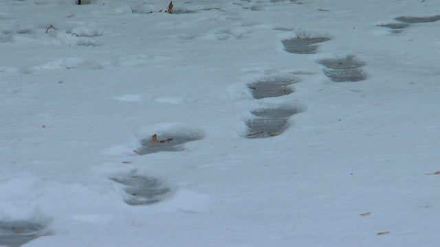 Ice-Foot-Prints-On-Winter-Lake.jpg 