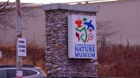 peggy-notebaert-nature-museum-in-lincoln-park-neighborhood-of-chicago.jpg 