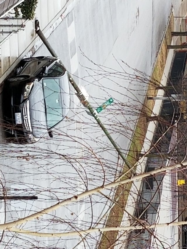 Humboldt Park Light Pole Down