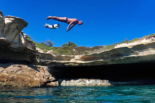 Diving Dog: Pet Jack Russell Titti Jumps From Rocks With Her Owner 