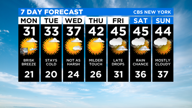 7 Day Forecast 