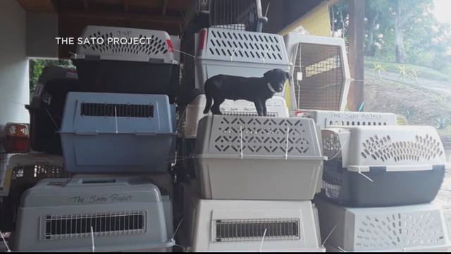 PUERTO-RICO-PETS-PKG-LM_frame_912.png 