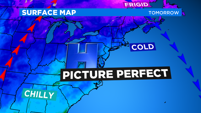 JL Surface Animation 2 