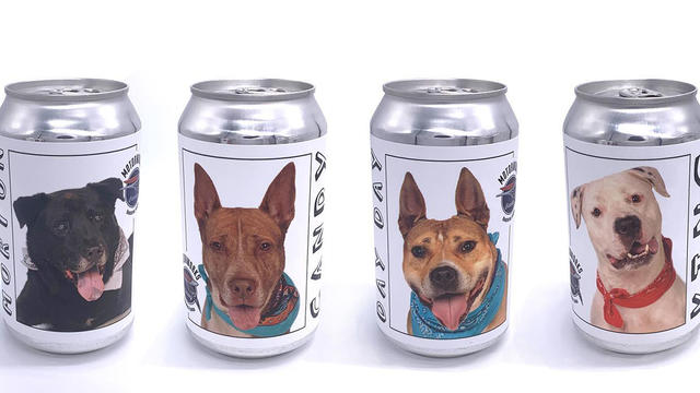 beer-can-dogs.jpg 