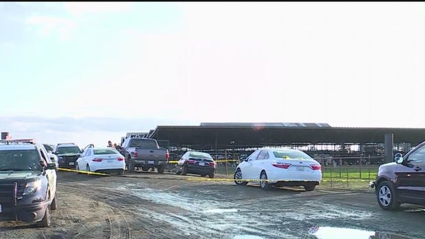 GALT DAIRY FARM 