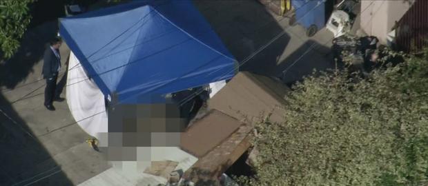 Human Bones Found In Backyard Of South LA Home 