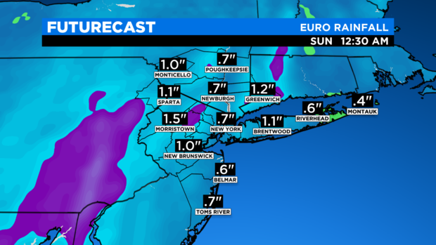 SkyCast FutureCast Rainfall Euro 