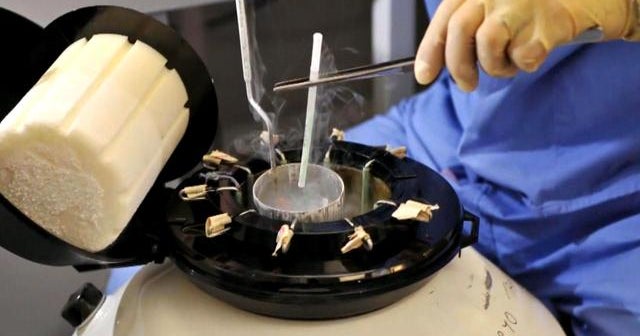 Arizona woman fights to keep frozen embryos Arizona woman fights to keep frozen embryos