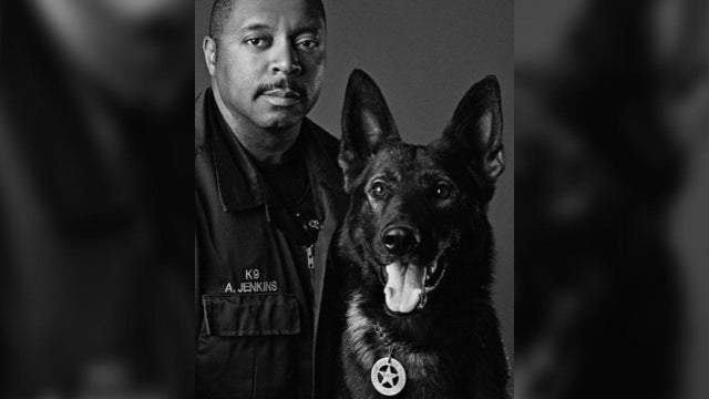 k9-eko-dies-1.jpg 