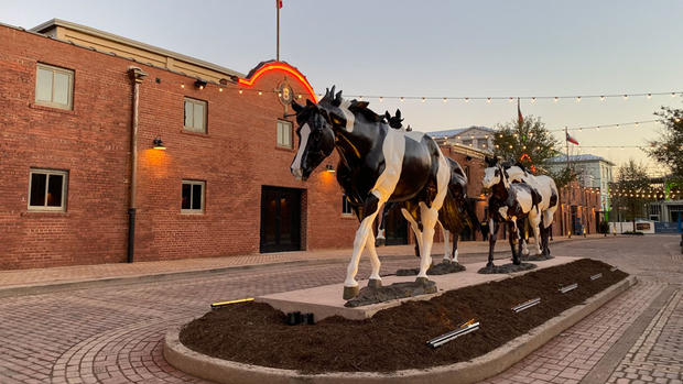 Fort Worth Stockyards Open First Shake Shack In Massive Redevelopment Project 