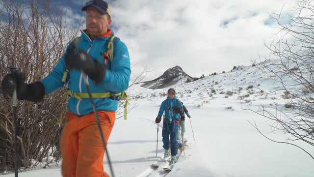 BLUEBIRD BACKCOUNTRY 10PKG.transfer_frame_2464 