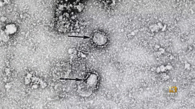 coronavirus.jpg 