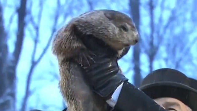 cbsn-fusion-groundhog-day-punxsutawney-phil-declares-early-spring-2020-02-02-thumbnail-441693-640x360.jpg 