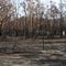 img-1536.jpg 