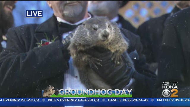 groundhogphil.jpg 