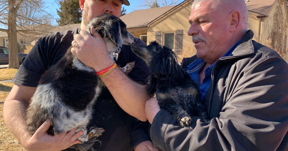Dogs Rescued In Littleton House Fire CBS Colorado