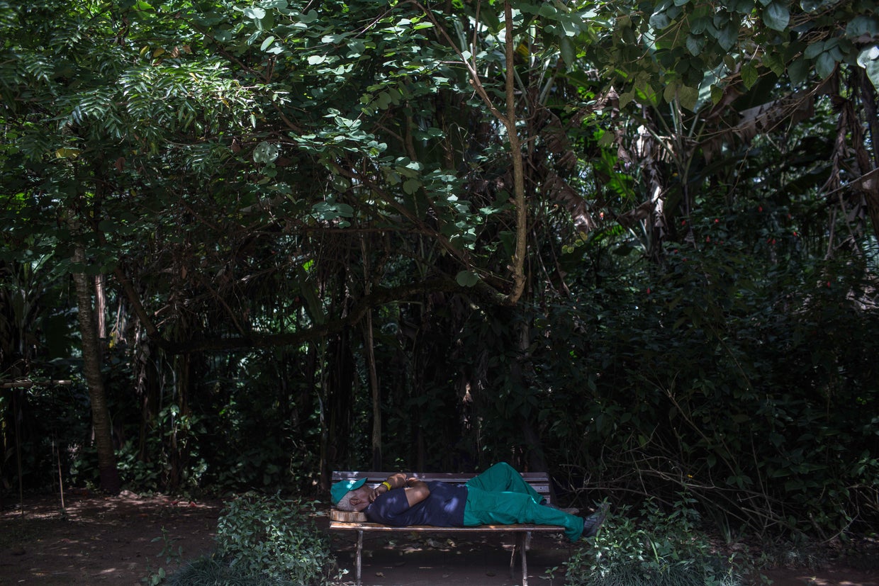 Brazil Battles Worst Yellow Fever Outbreak Since 1942 Epidemic