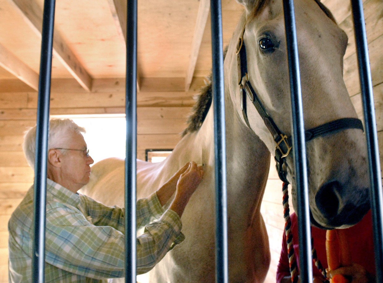 Dr. David Jefferson, a veterinarian, administers Eastern equine encephalitis vaccine to a horse at