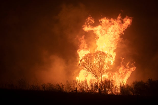 State Of Emergency Declared In ACT As Canberra Braces For Increased Bushfire Threat 