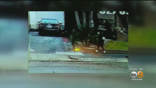 Sulma Lleana Carrillo Security 