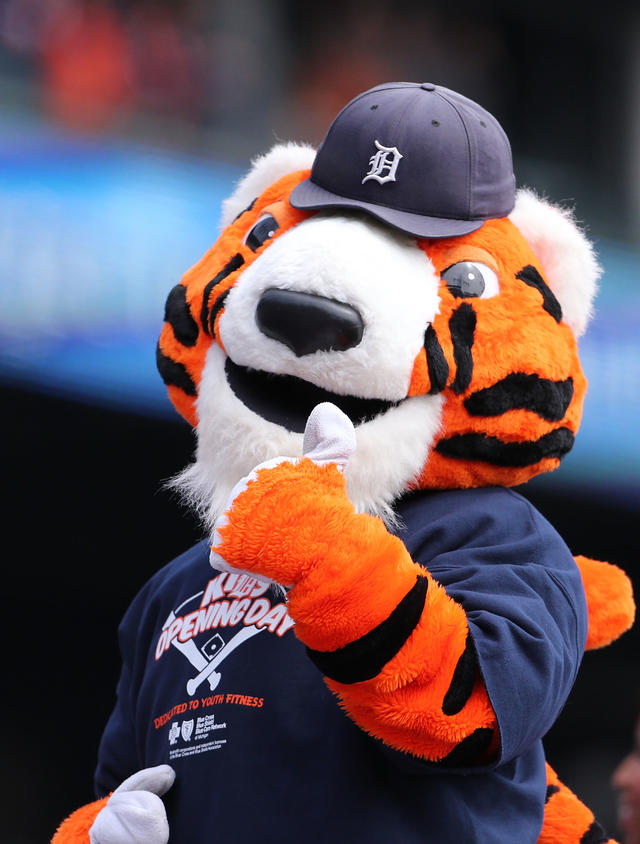 PAWS  Detroit Tigers