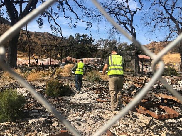 Century-Old Agoura Hills 'Witness Tree' Damaged In Woolsey Fire To Be Cut Down 