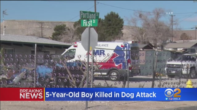 Victorville-Dog-Attack.jpg 