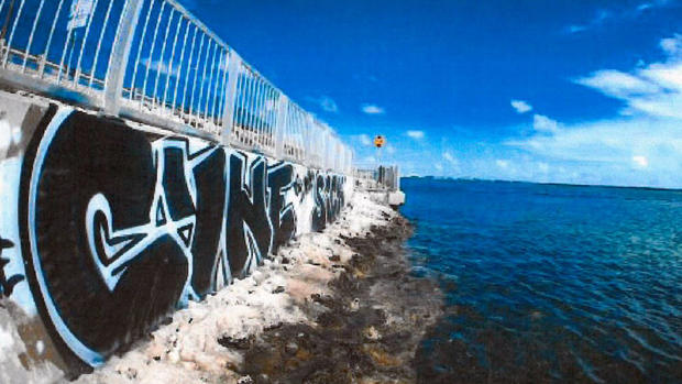 Brandon Sims Cyne Graffiti 2 