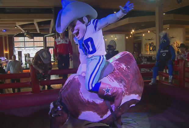 Rowdy rides mechanical bull 