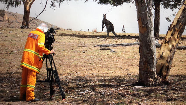 ot-australianwildfires-2028494-640x360.jpg 