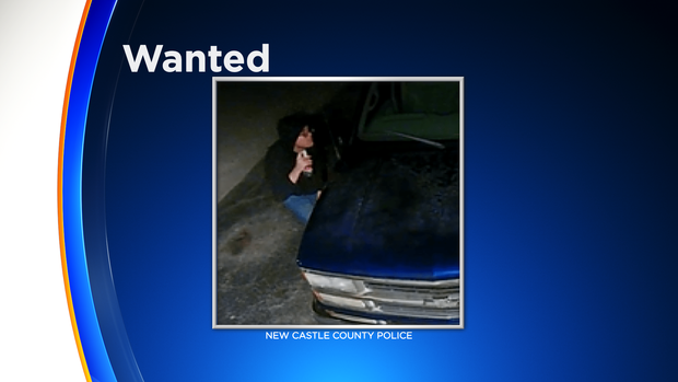 suspect wanted in new castle county vandalism 