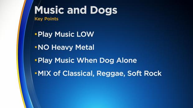 Dogs and Music 