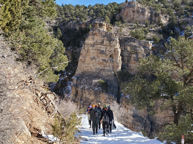 Winter Bat Survey 1 (CPW SE Region tweet) 