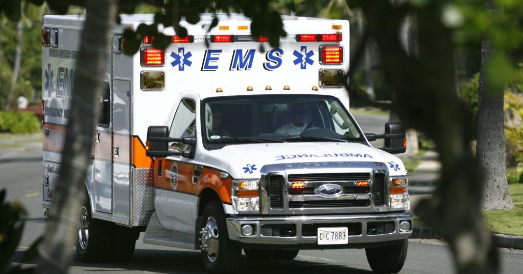 Woman Dead After Tree Falls Onto Mobile Home In Rockford During ...
