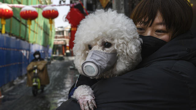 Concern In China As Mystery Virus Spreads 