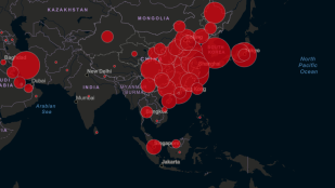 Coronavirus-cases.png 