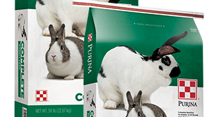 Purina complete rabbit food shop
