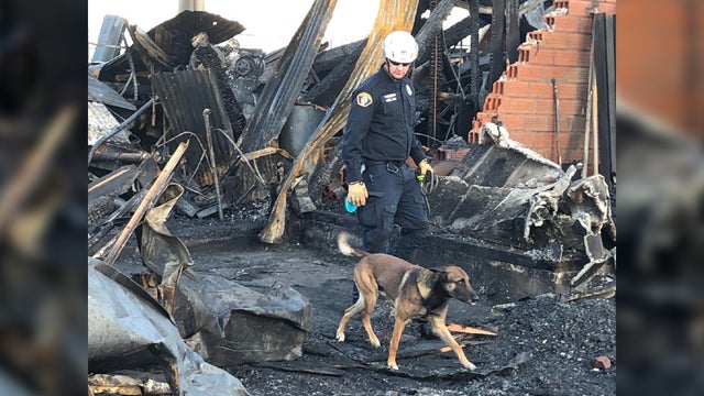 sffd-dog-search-.jpg 