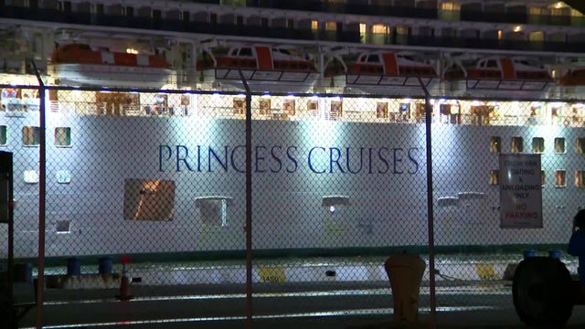 princess-cruise-ship-return-scene.jpg 