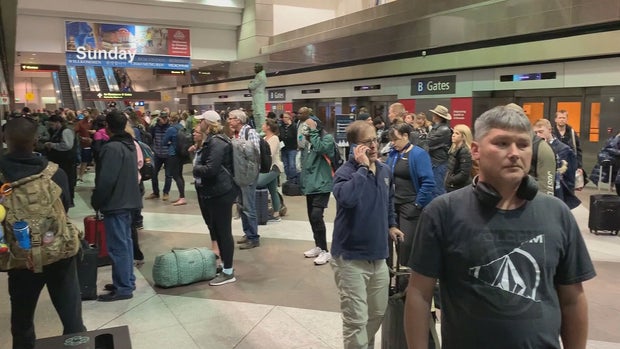 DIA CROWDS 5PKG.transfer_frame_658 