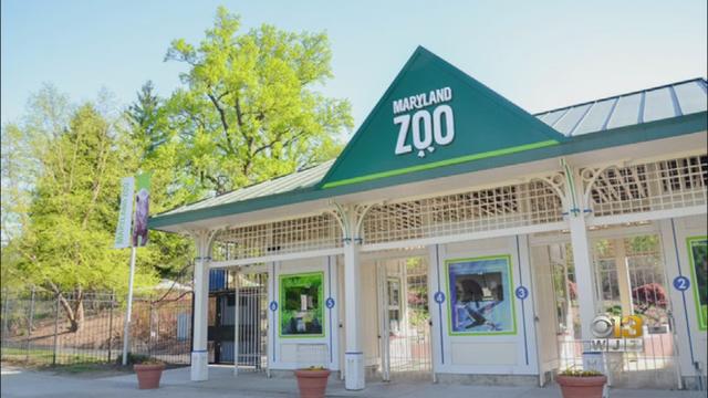 Maryland-Zoo.jpg 