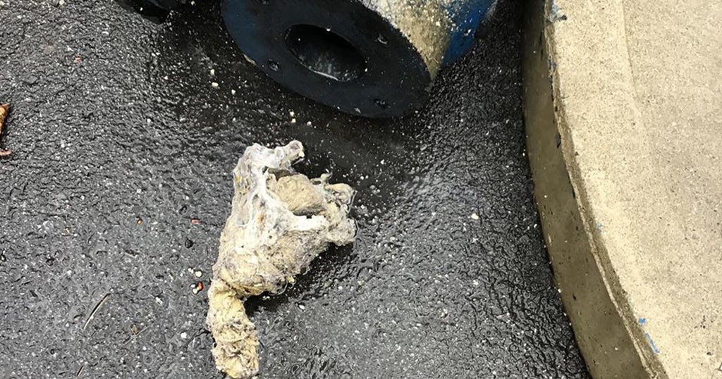 Flushable Wipes Are Clogging Sewers 'More Than Usual,' Local DPW Warns CBS Boston