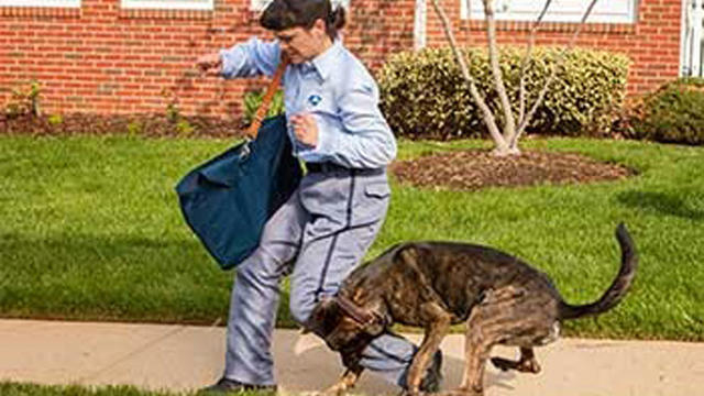 letter-carrier-USPS.jpg 