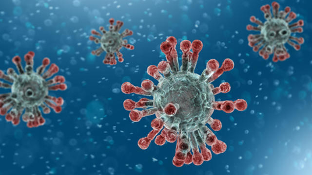 coronavirus-5.jpg 