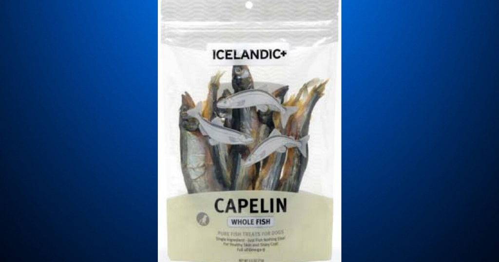 Icelandic capelin outlet dog treats